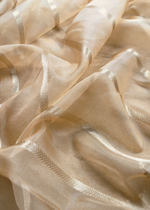 Beige Brocade Kurta With Organza Dupatta