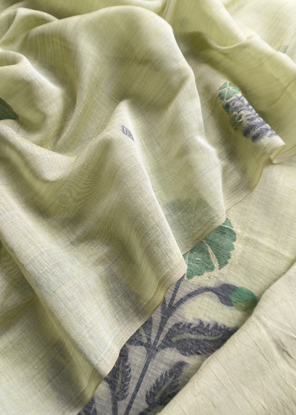 Light Green Chanderi Dupatta-Suit with Phool Jamdani weaving and gold detailings