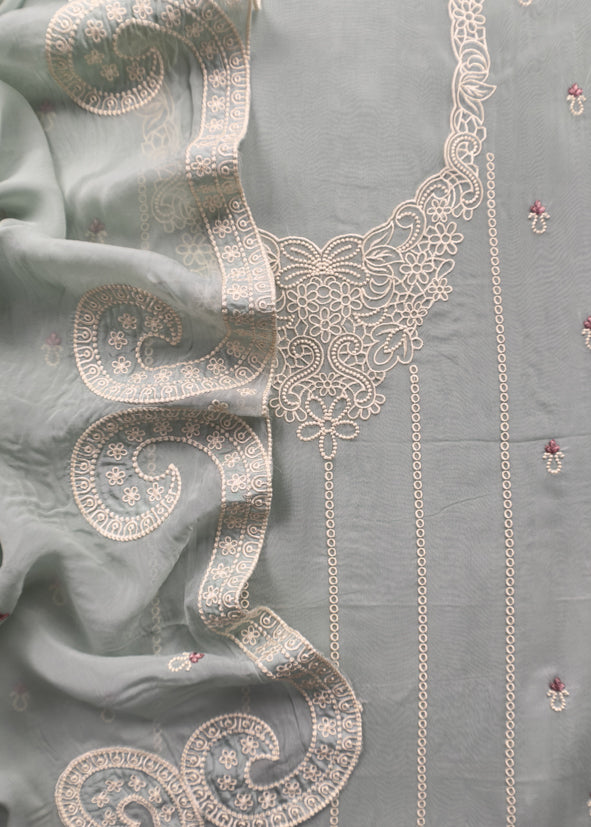 Powder Blue Pakistani Pure Organza Silk Suit With Dupatta