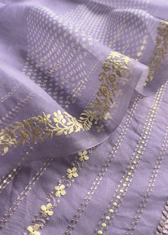 Handloom Organza Suit With Bandhani Print And Parsi Embroidery
