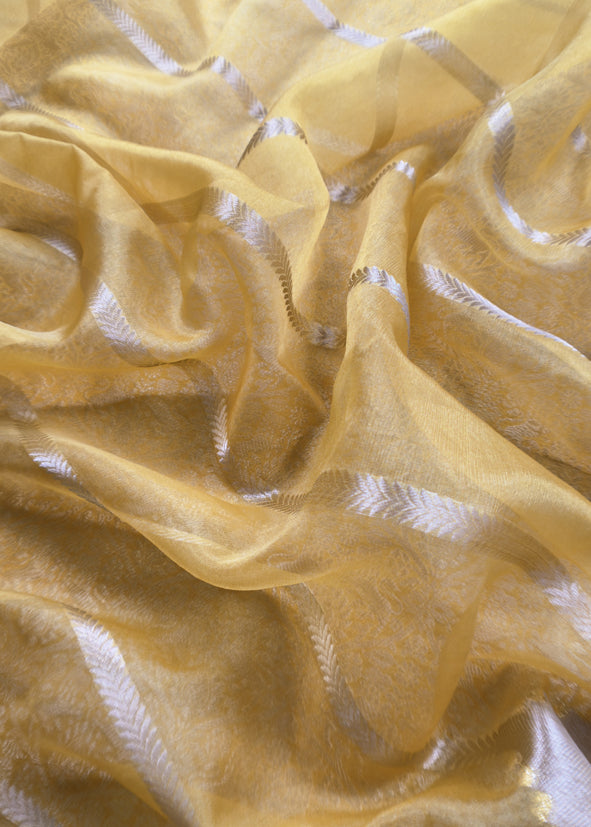 Yellow Brocade Kurta With Organza Dupatta