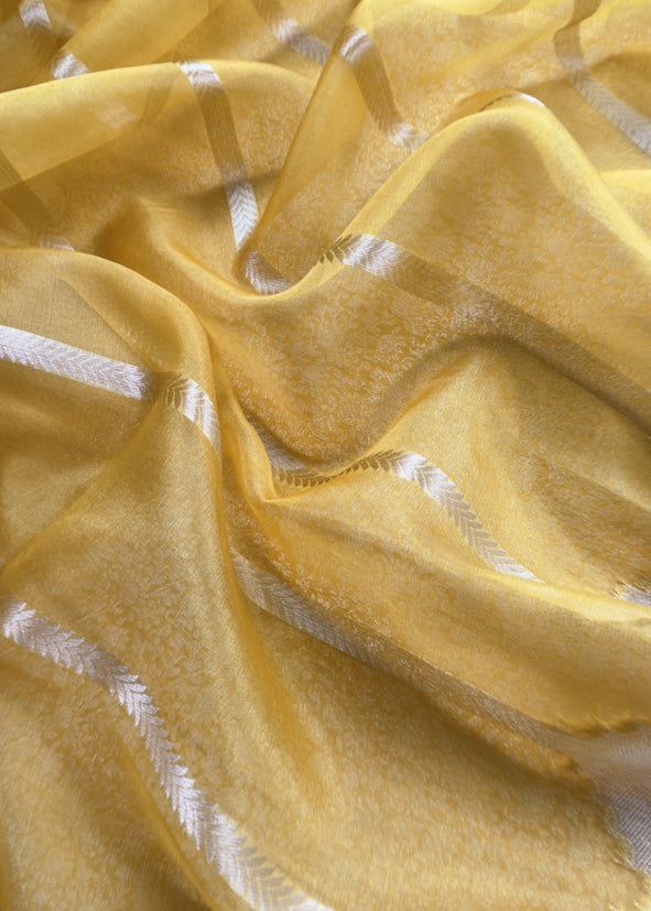 Yellow Brocade Kurta With Organza Dupatta
