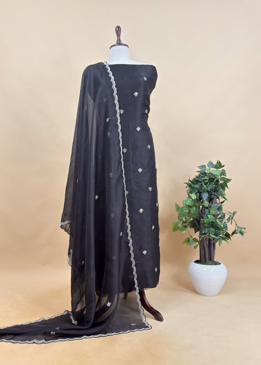 Kalasheel Luxe Midnight Black Handwoven Organza Suit With Hand work