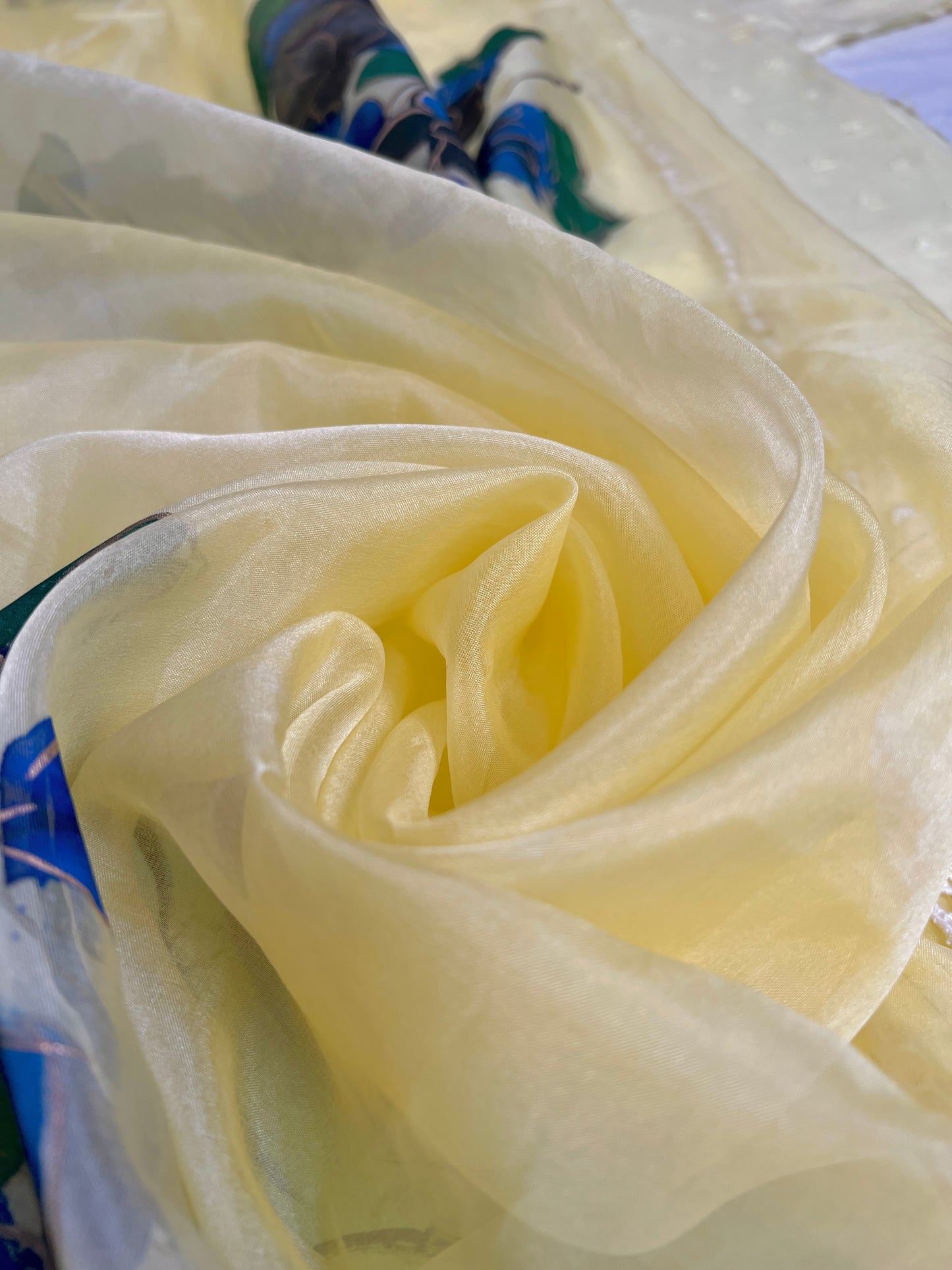 organza Beautiful dupatta
