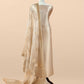 Wedding wear brocade suit

