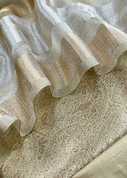 Chikoo Brocade Silk Kurta And Zari Panel Silk Dupatta