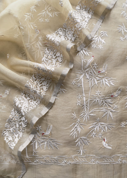 organza dupatta

