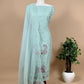 Pure organza silk kurta and dupatta with plain bottom