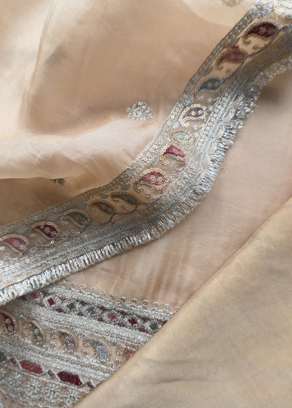 organza suit for the trousseau collection