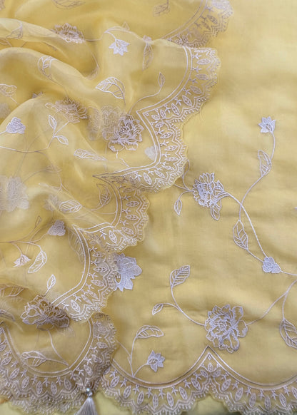 Festive celebration kora silk suit at the best price

