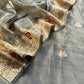 Luxury handloom tissue silk suit with dupatta

