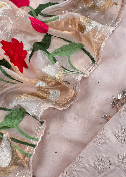 Organza silk suit with resham embroidery

