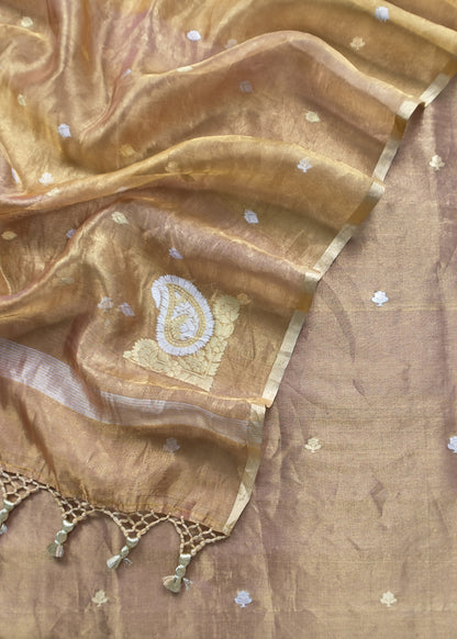 premium Tissue Suit With Kadwa weave


