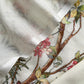 Off White Linen Deer Suit Fabric With Kantha Hand Embroidery