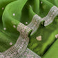 Parrot Green Handloom Tussar Kurta And Kora Silk Dupatta With Embroidery