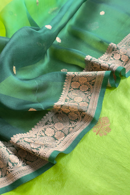 Green Handloom Kora Silk Kurta and Kora Silk Dupatta with Gold Kadwa weaving