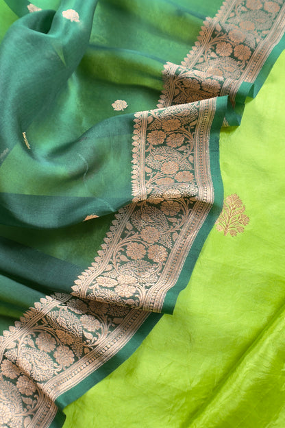 Green Handloom Kora Silk Kurta and Kora Silk Dupatta with Gold Kadwa weaving
