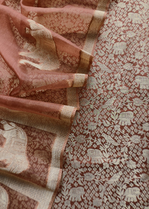 Brown Brocade Kurta With Organza Dupatta