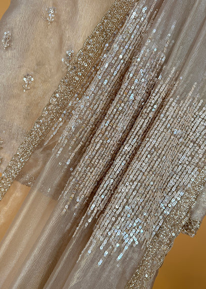 Tissue Silk Saree with Beautiful Sequins Work