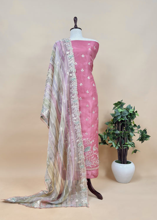 Pink Kalasheel Luxe Organza Suit With Pitta Hand Work