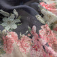 Floral Paradise Cheeku Charcoal Floral Sequin Suit In Pure Kora Silk Fabric