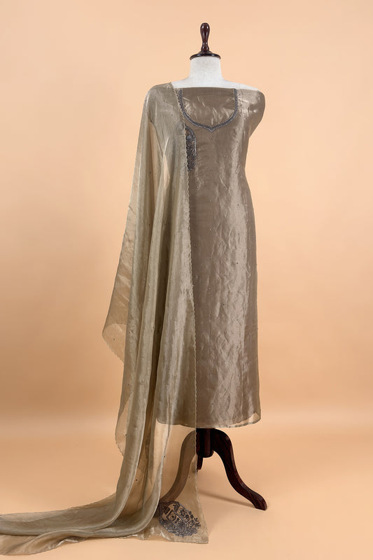 Chikoo Tissue Silk With Hand Embroidery