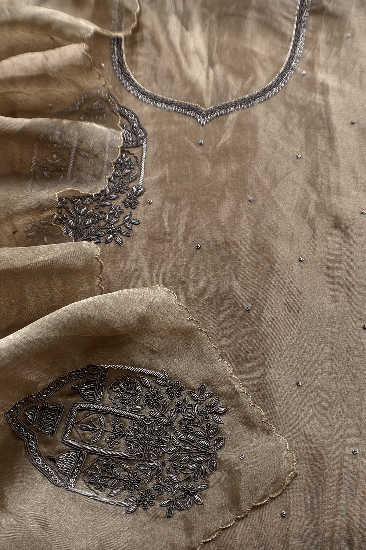 Chikoo Tissue Silk With Hand Embroidery