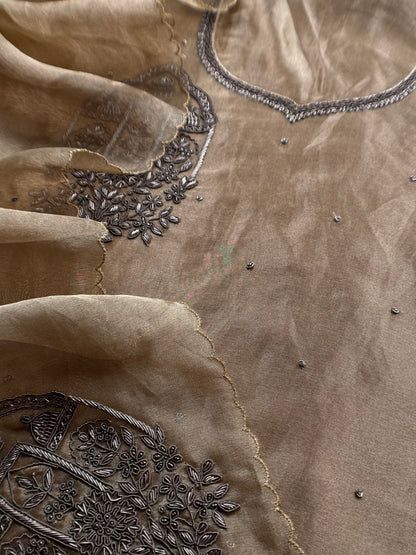 Chikoo Tissue Silk With Hand Embroidery