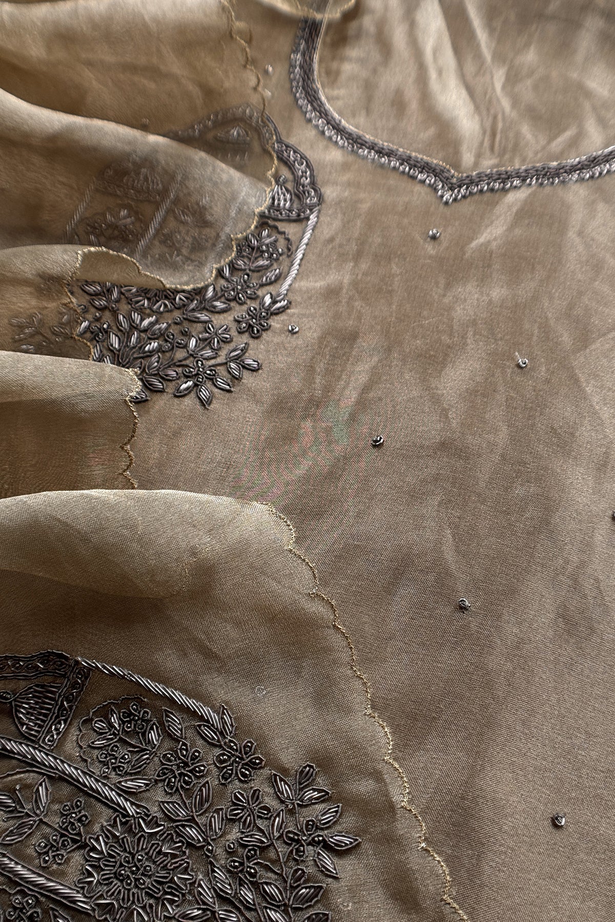 Chikoo Tissue Silk With Hand Embroidery