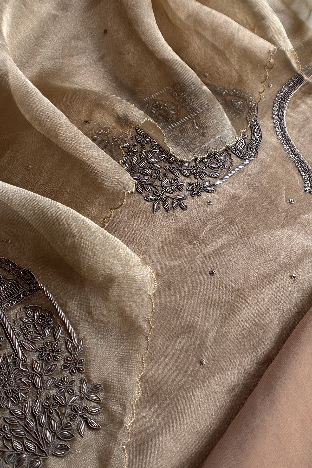 Chikoo Tissue Silk With Hand Embroidery