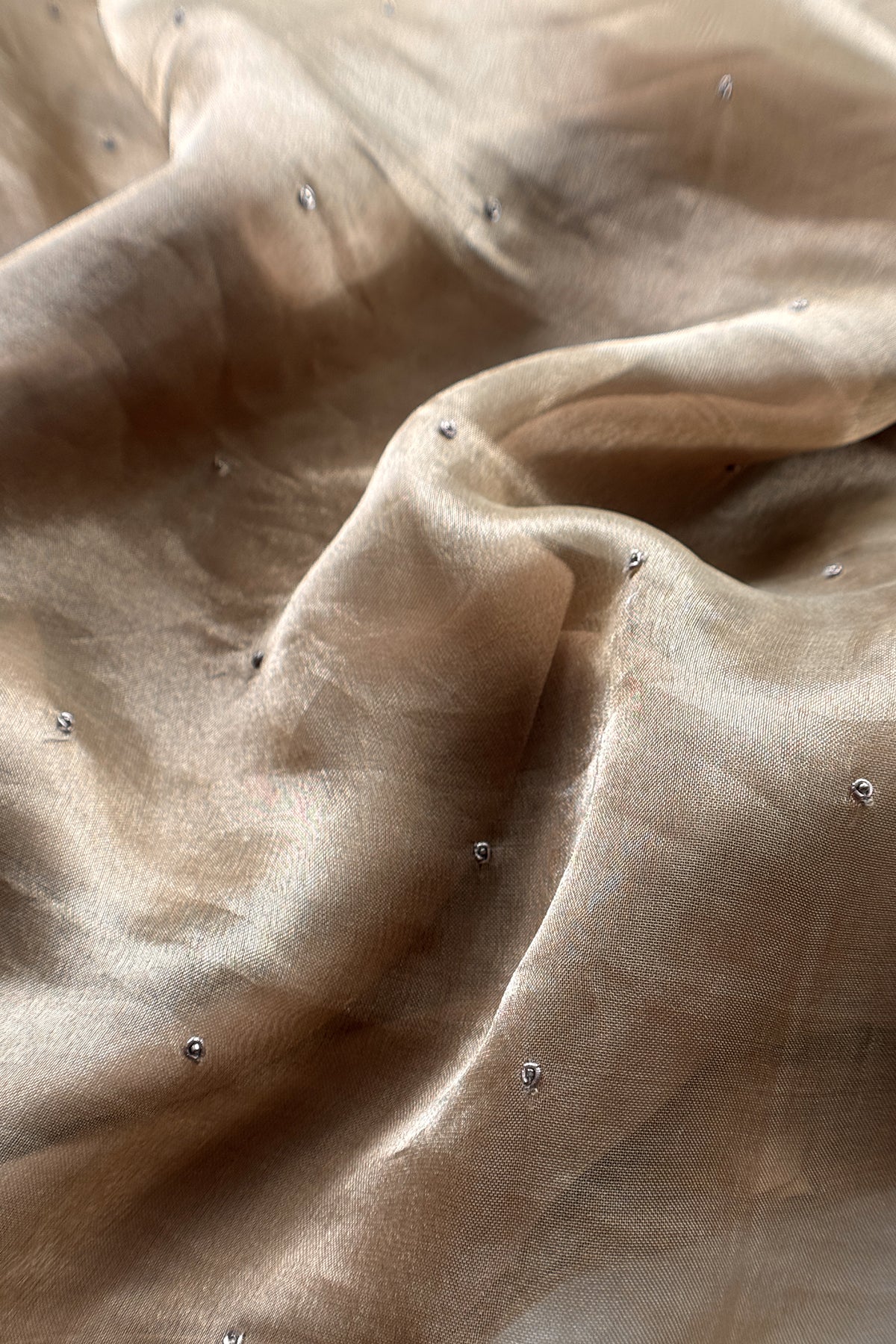 Chikoo Tissue Silk With Hand Embroidery