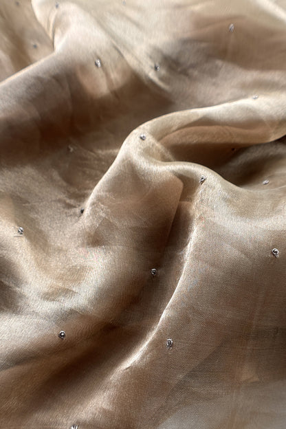 Chikoo Tissue Silk With Hand Embroidery