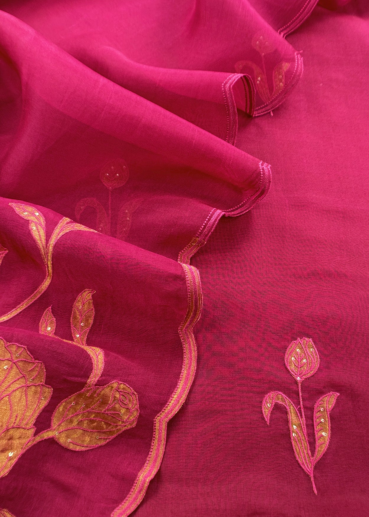 Pure organza suit set with appliqué work

