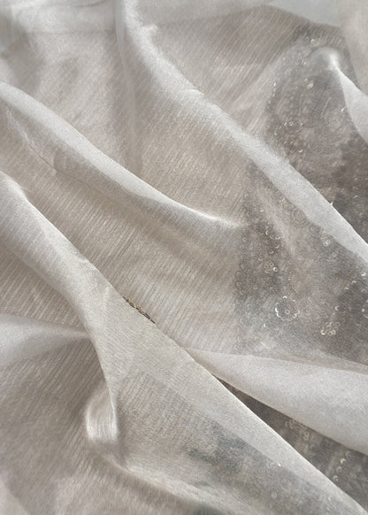 Champagne Beige Handloom Tissue silk kurta and Tissue Silk Dupatta with Dori Dabka handwork