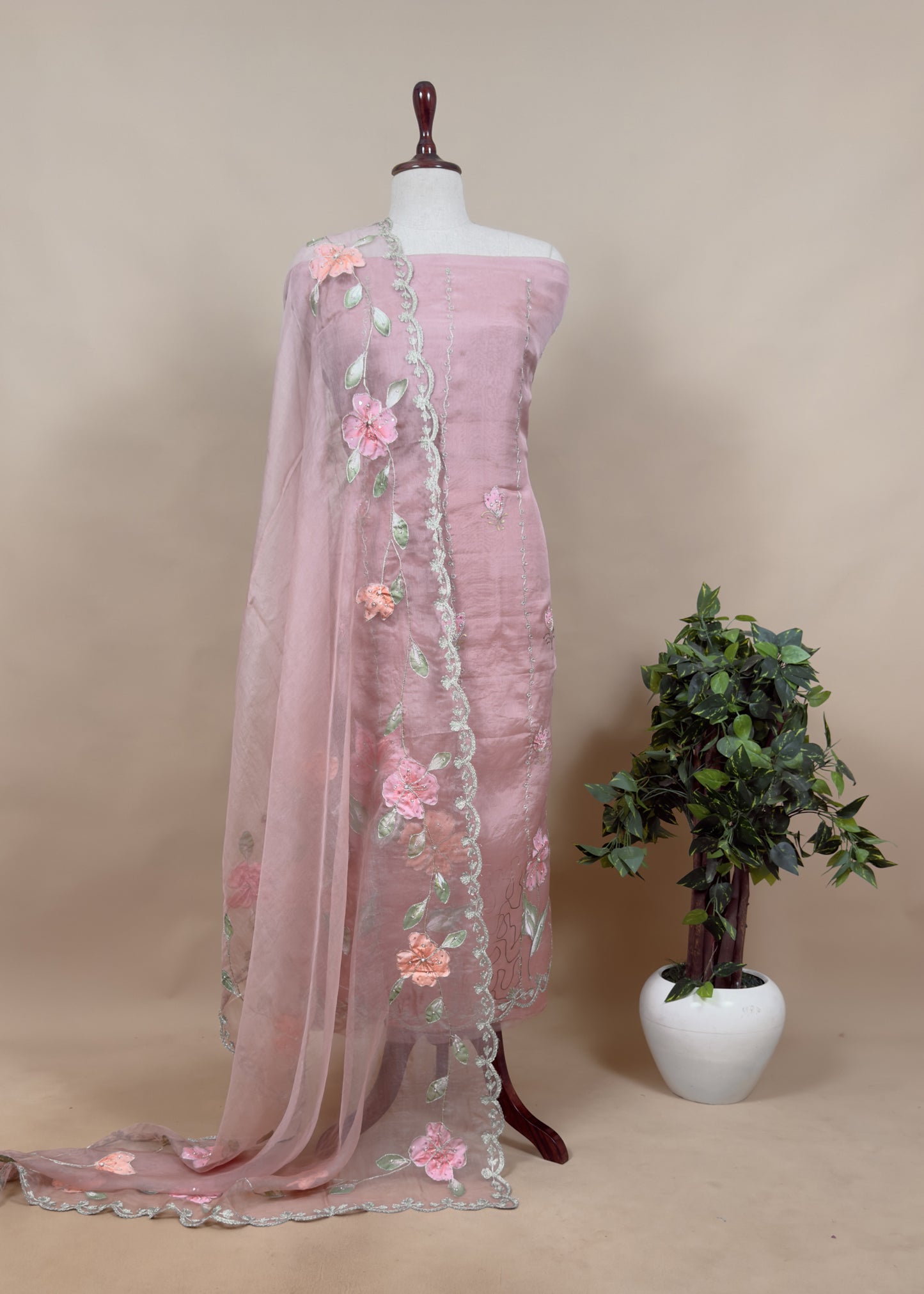 Chikoo Hand Painted Organza Silk Suit With Dori Embroidered