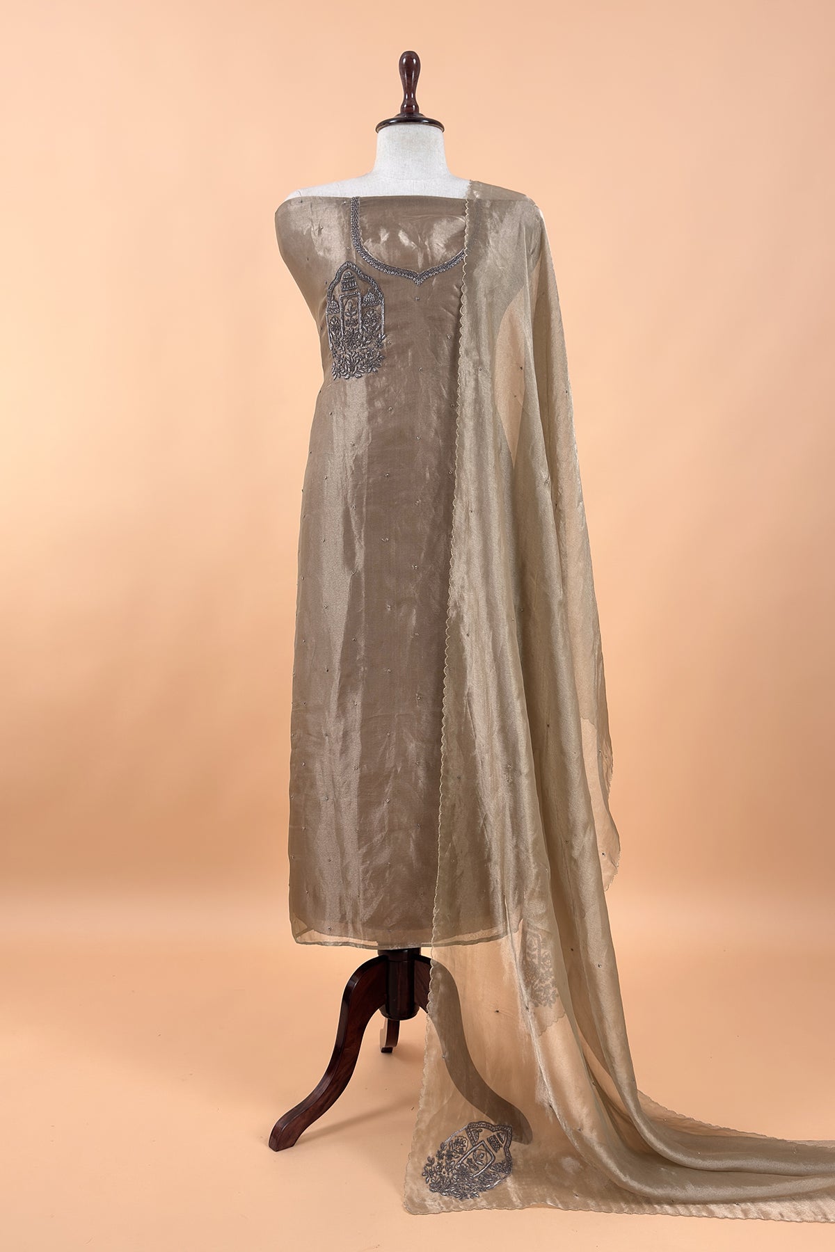 Chikoo Tissue Silk With Hand Embroidery