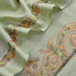 Pastel Green Pure Merino Wool With Beautiful Aari Embroidery