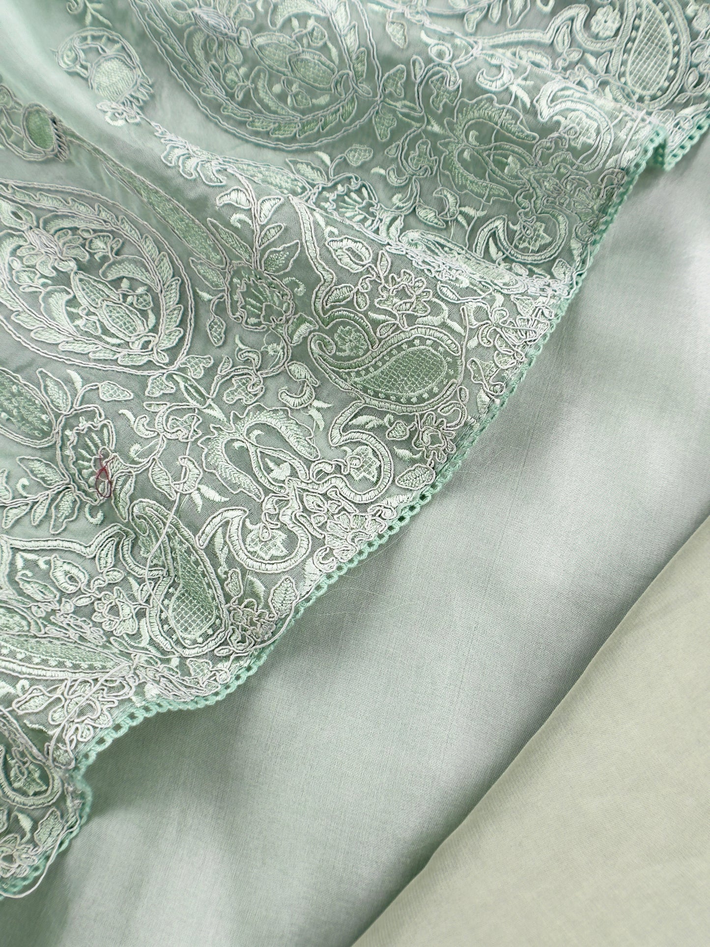 Mint Green Kalasheel Luxe Handloom Organza Suit With Garden French Embroidery