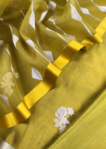 Apple Green Handloom Banarasi Silk Kurta And Kora Silk Dupatta With Kadwa Weaving