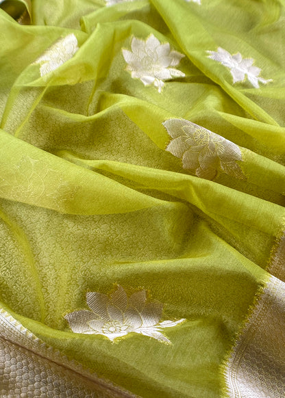 Brocade woven suit set with tissue silk dupatta

