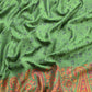 Green  Handloom Pashmina Suit With Kani Zari Weaving