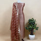 Brown Banarasi Silk Brocade Suit With Organza Dupatta