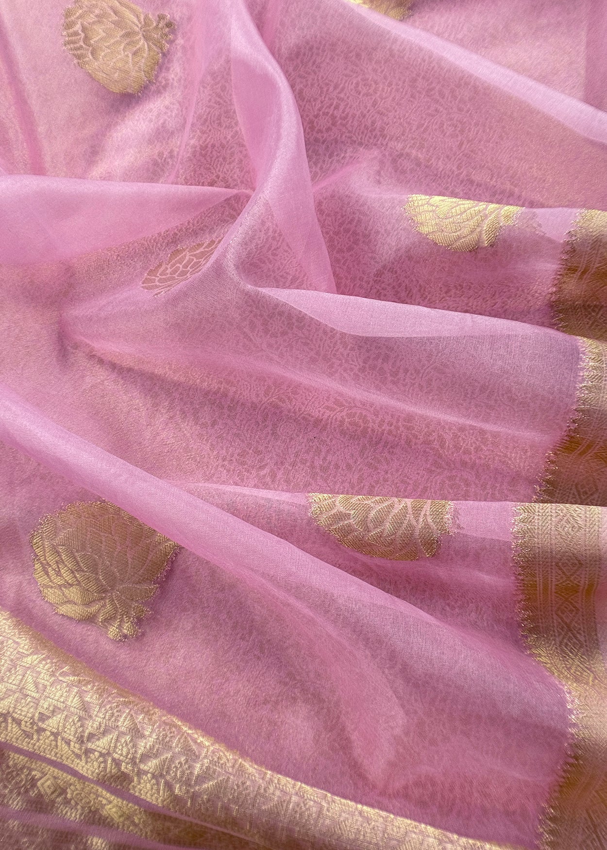 brocade suit set online

