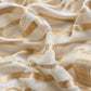 Off White Banarasi Chanderi Silk Suit With Zari Weaving