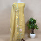 Powder Blue Hand Painted Organza Silk Suit With Dori Embroidered