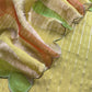Blingy Apple Green Handloom Silk Kurta With Tissue Silk Double Panel Zari Dupatta