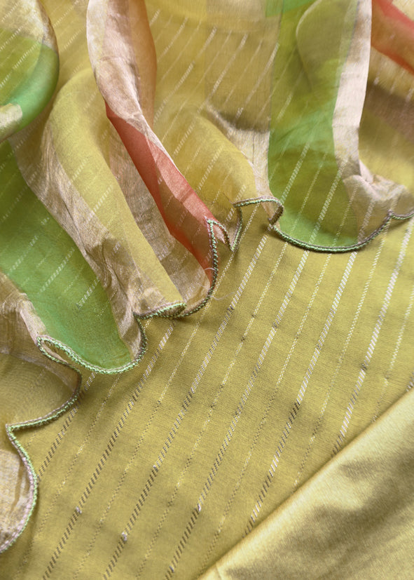 Blingy Apple Green Handloom Silk Kurta With Tissue Silk Double Panel Zari Dupatta