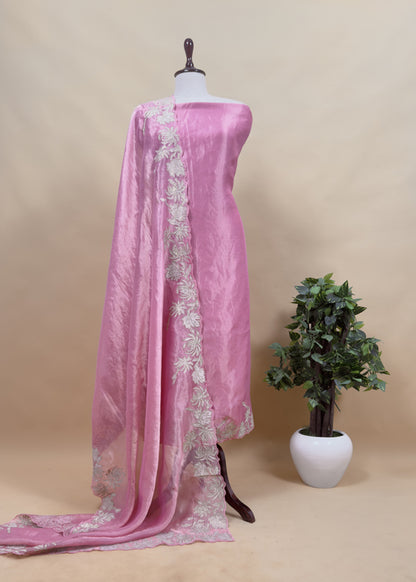 Chikoo Aari Embroidery Tissue Silk Suit In Applique Work