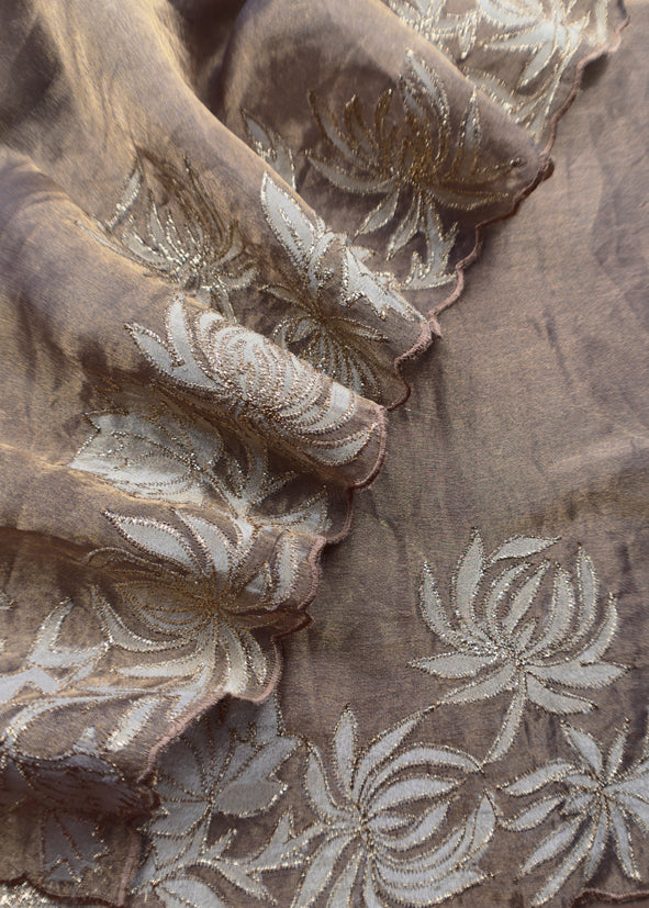 Chikoo Aari Embroidery Tissue Silk Suit In Applique Work