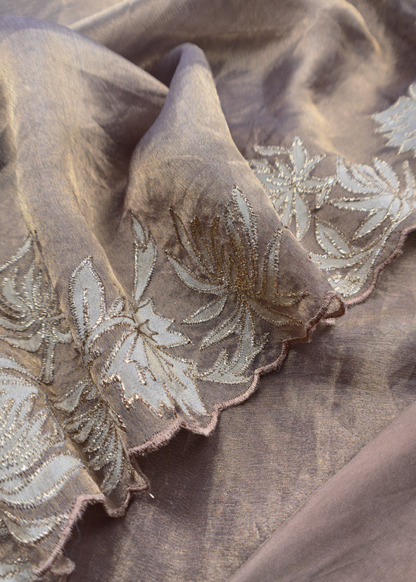Chikoo Aari Embroidery Tissue Silk Suit In Applique Work